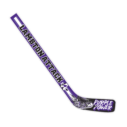 Lambton Attack - Mini Hockey Stick
